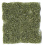 055-706229 - Wild-Gras, grün, trocken, 12 mm